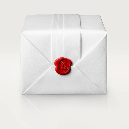 PASHA DE CARTIER WATCH